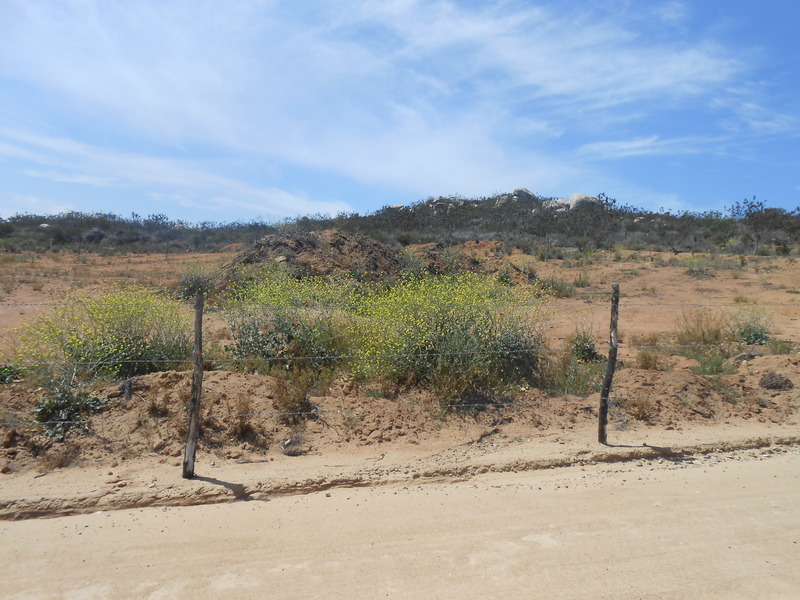 Terreno en Venta en San Antonio de Las Minas