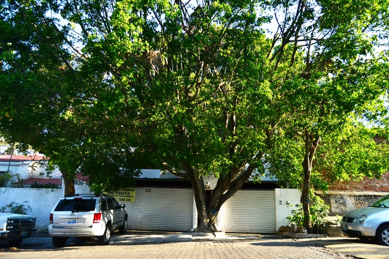 Casa en Venta en Seattle