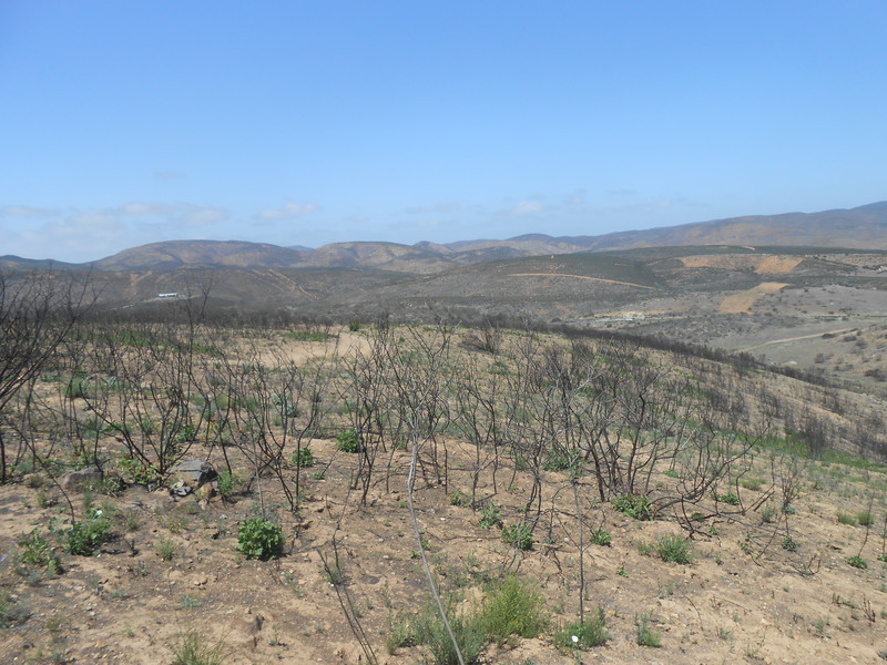 Terreno en Venta en San Antonio de Las Minas