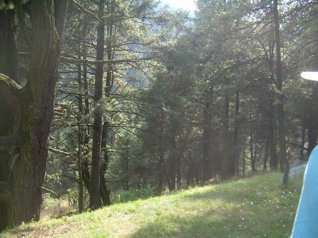 Terreno en Venta en Cañada de Alferez