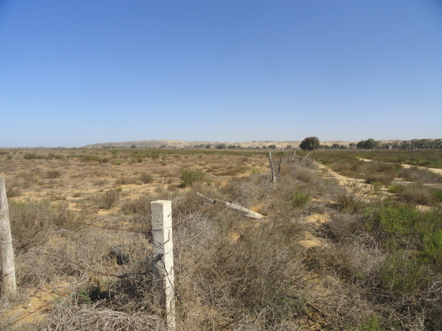 Terreno en Venta en Vicente Guerrero