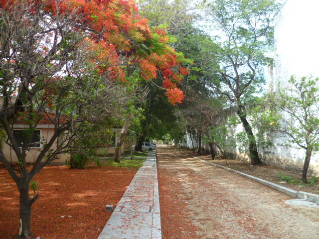 Terreno en Venta en Jardines de Tuxtla