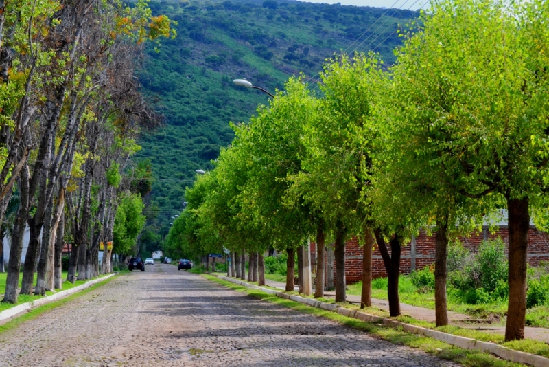 Terreno en Venta en Pedregal de San Miguel