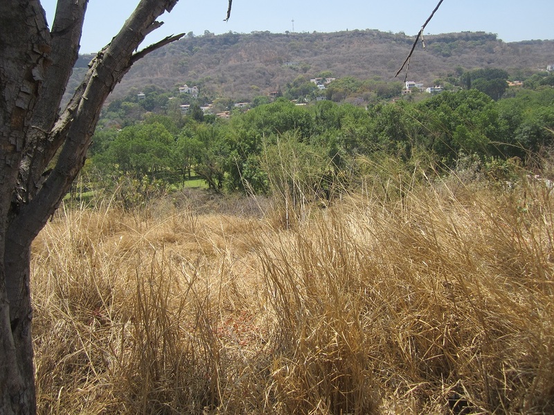 Terreno en Venta en LAS CAÑADAS