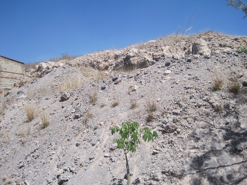 Terreno en Venta en LAS CAÑADAS