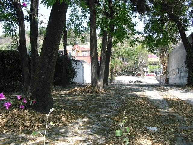 Terreno en Renta en colonia Las Arboledas