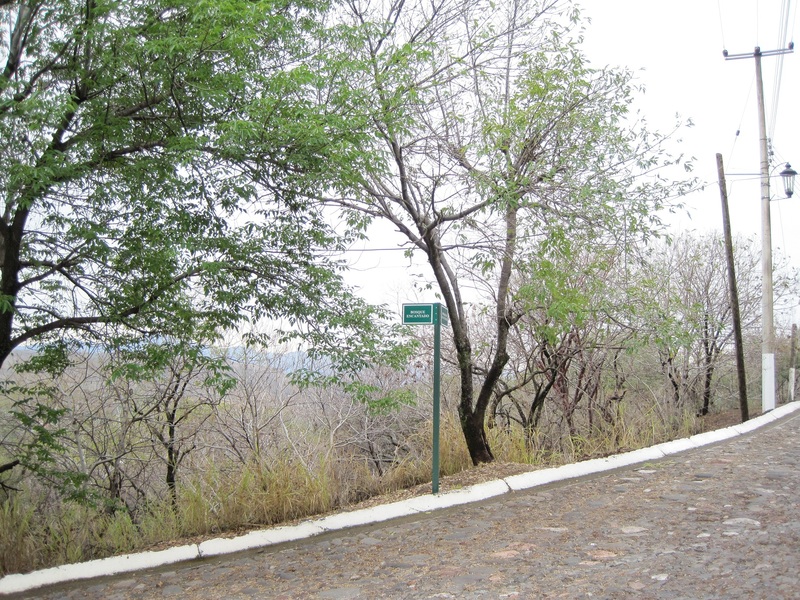 Terreno en Venta en colonia LAS CAÑADAS