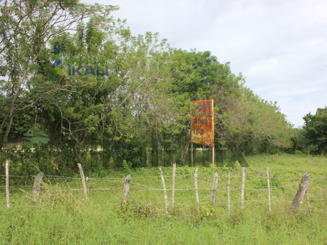 Terreno en Venta en Tuxpan de Rodriguez Cano Centro