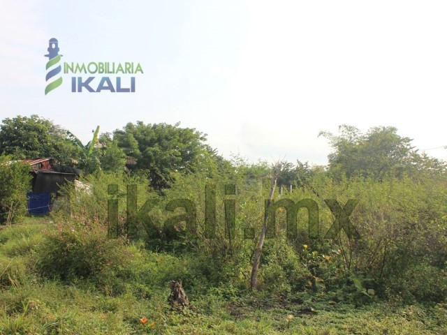 Terreno en Venta en Vicente Guerrero